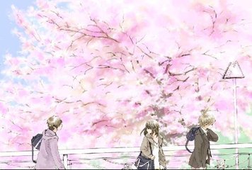 红桃网页版